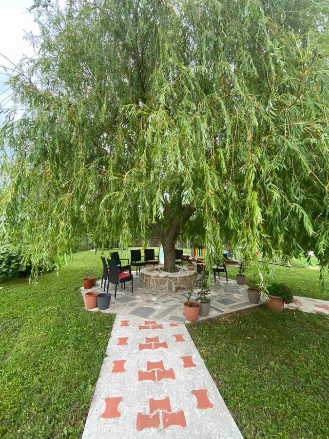 Green Place Apartments 波尔托罗 外观 照片